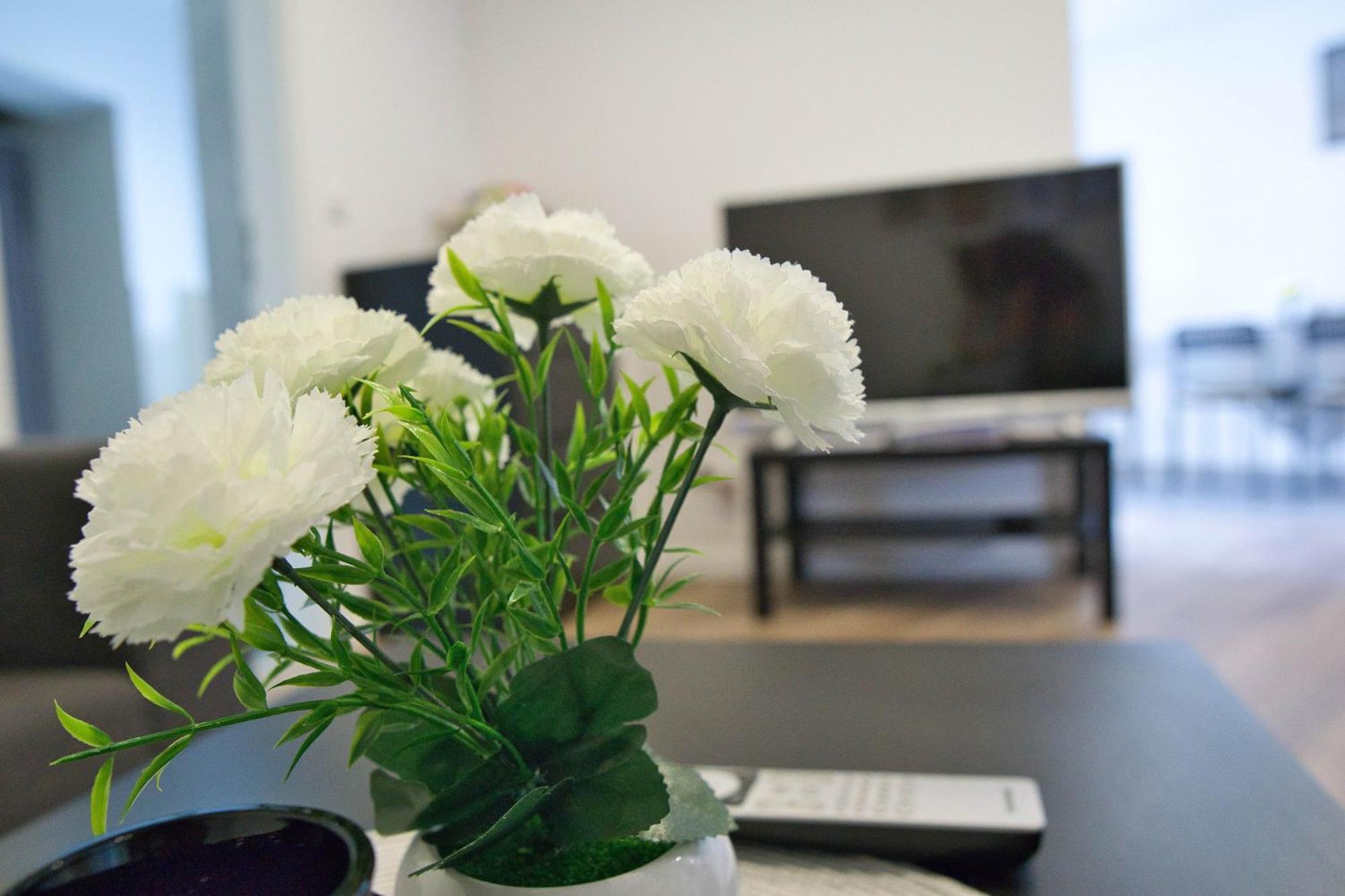 Heide Ferienwohnung Sued Schneverdingen Dış mekan fotoğraf